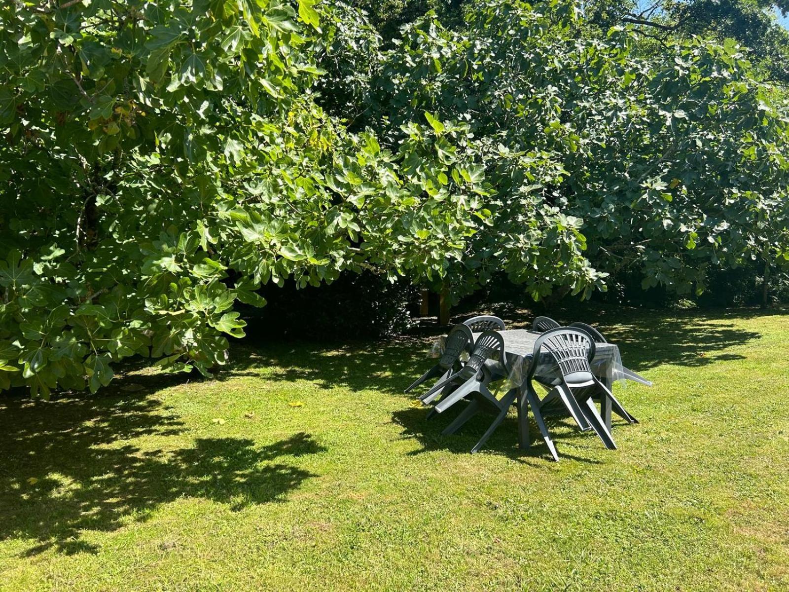 Jolie Maison Le Teich Bassin Park/Wifi Εξωτερικό φωτογραφία